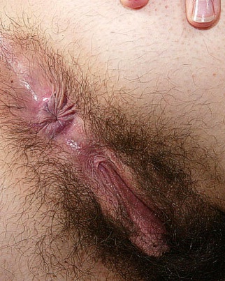 hairy pussy porn stars