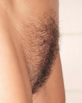 hairy couple sex