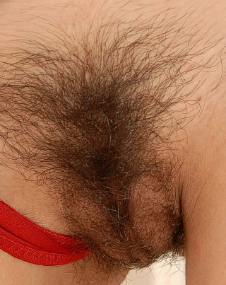 hairy french babe