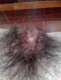hairy ebony