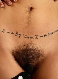 atk chubby hairy