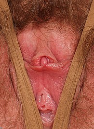ftv hairy pussy
