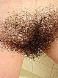 hairy pussy sites