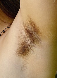 hairy virgin pussy
