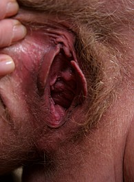 sammy atk hairy