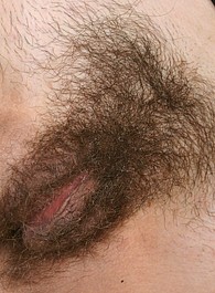 hairy mexican pussy video