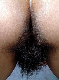 fucking hairy pussy hole