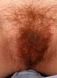 licking hairy pussy longs