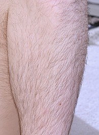 hairy cuties