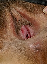 nude hairy pussy pics