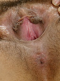 nice hairy pussy phone chat sex