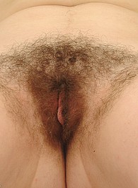 hairy latina sex