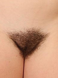 hairy pussy and pits tumblr
