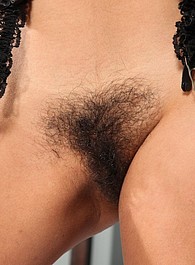 fre hairy pussy