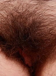atk hairy anastasia