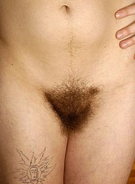 hairy girls having sex videos