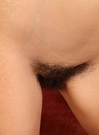 hairy porn pictures