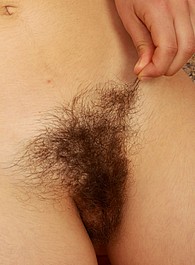 hairy men porn