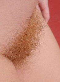 hairy pussy picture gallaries