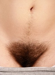 wet hairy pussy fucked
