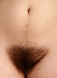 italian women with a hairy pussy