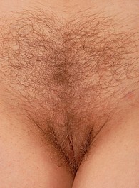 hairy exposed pussy