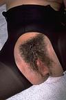 busty hairy women
