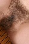 stella hairy