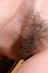 hairy pussy society