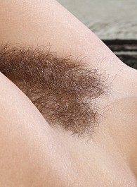 petite hairy pussy