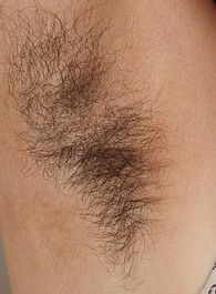 WE ARE HAIRY hairy lillith