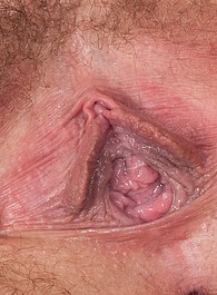 free amature hairy pussy video