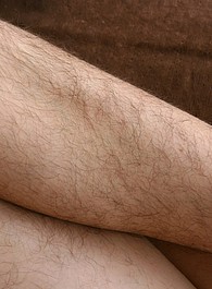 WE ARE HAIRY hairy andy