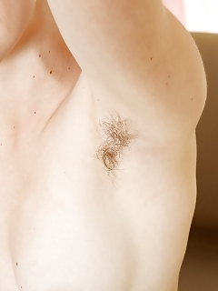 Joe Crazy Hairy Ants